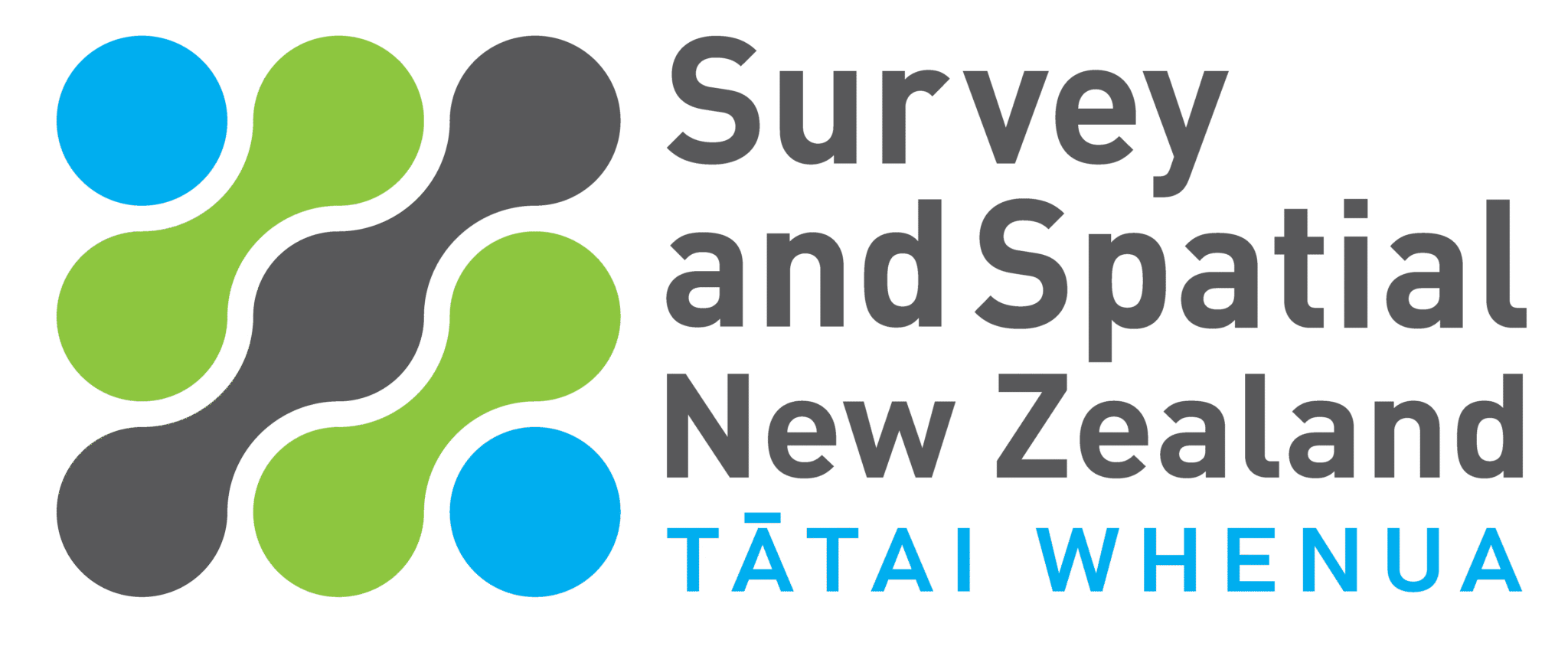 The logo of Survey and Spatial New Zealand (S+SNZ).
