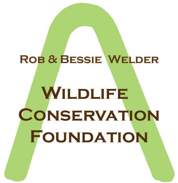 Rob and Bessie Welder Wildlife Foundation