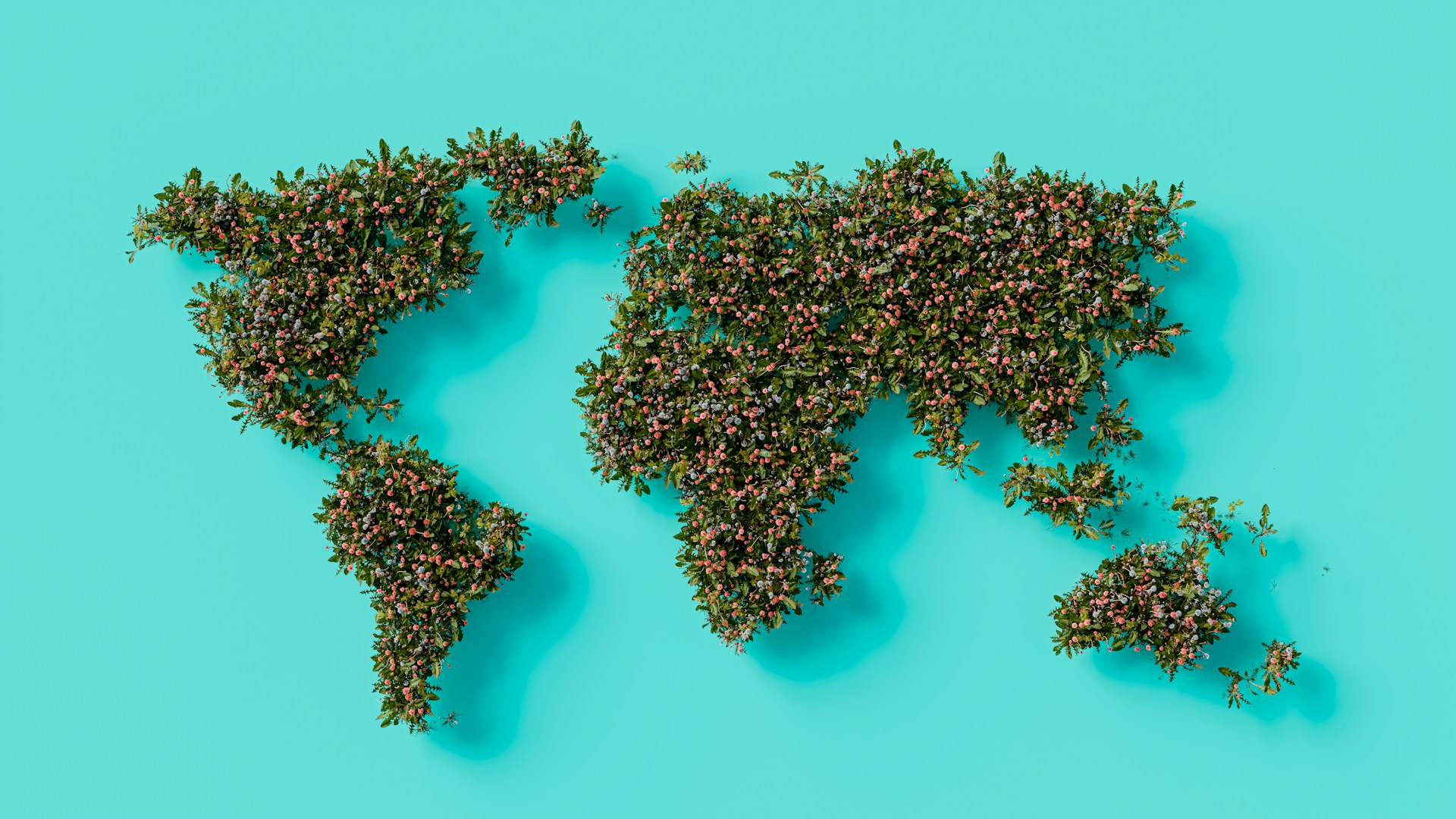 A map of the world, made up of green plants with tiny pink flowers, against a blue background. No matter where you're starting from, there are ways to significantly increase your chances of working abroad in conservation.