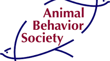 Animal Behavior Society