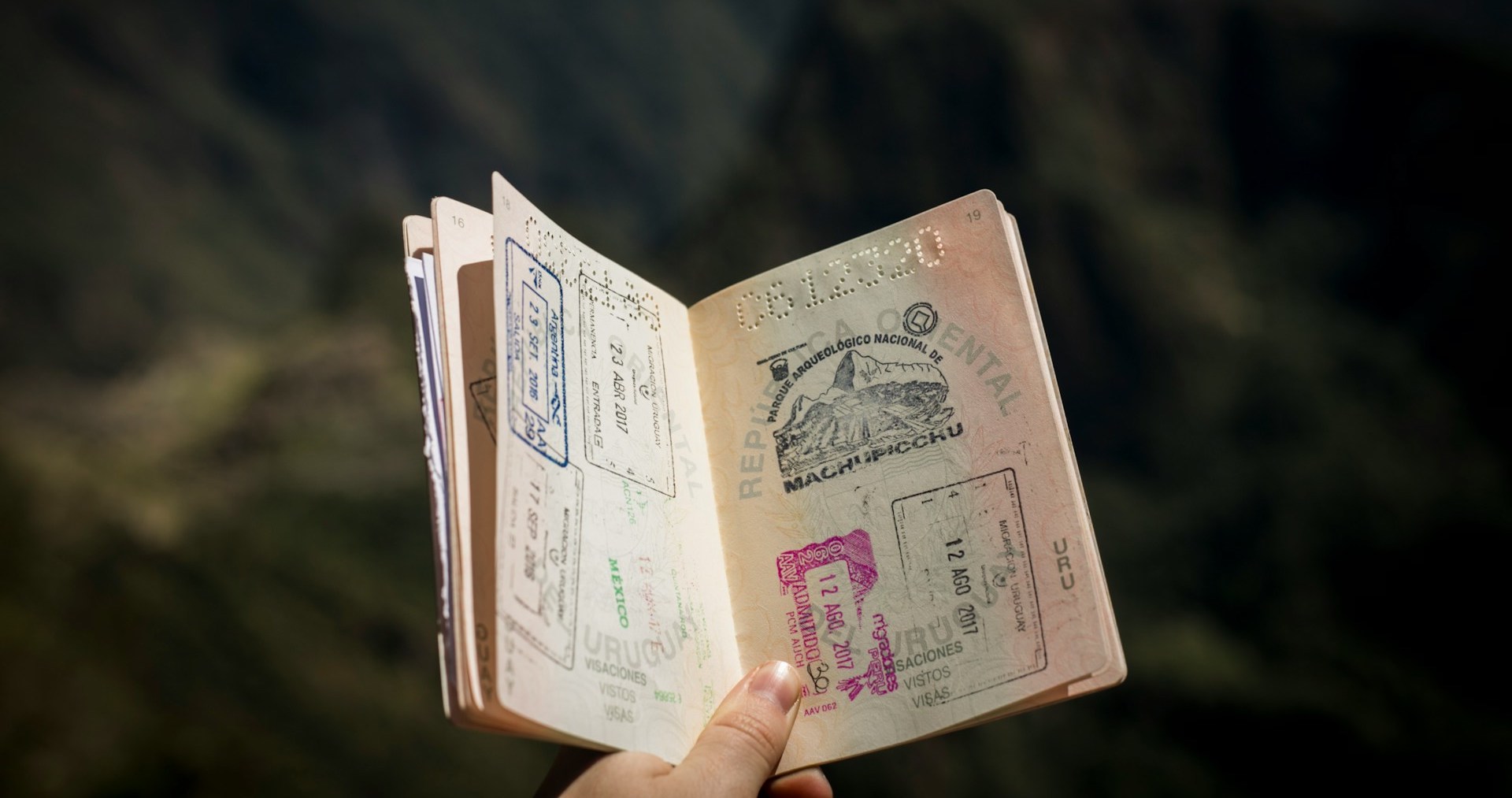 A photo of a passport opened to a full visa page, showing visa stamps from South America. If you want to work abroad in conservation, you may need to spend some time researching your visa options.