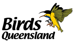 Birds Queensland