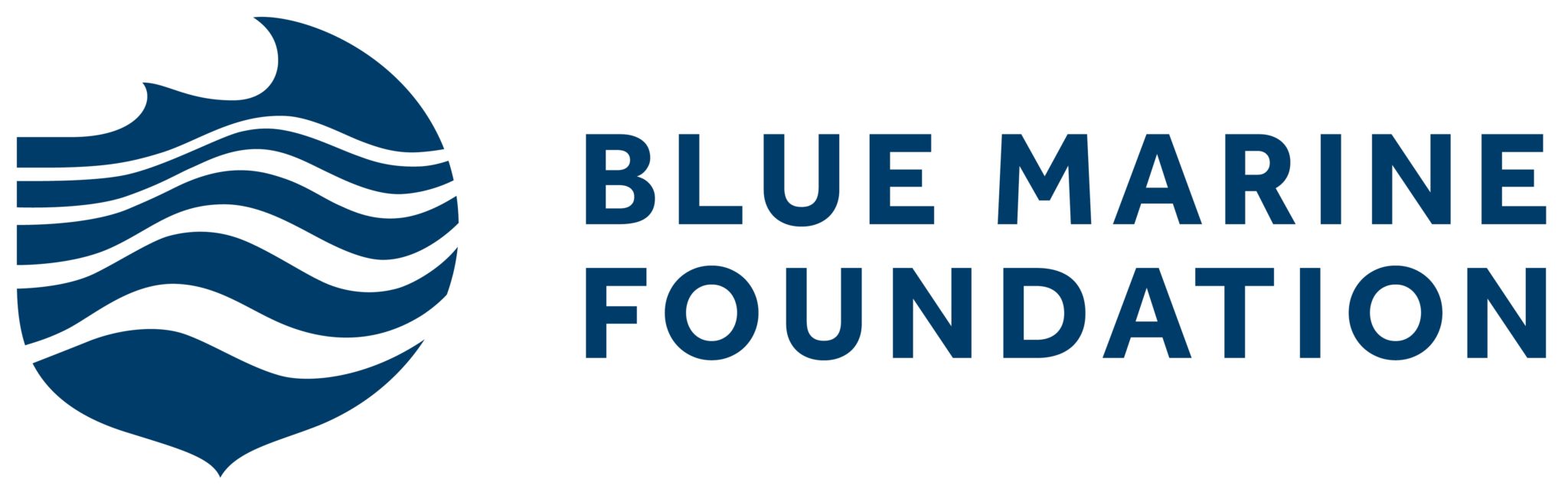 BLUE Marine Foundation