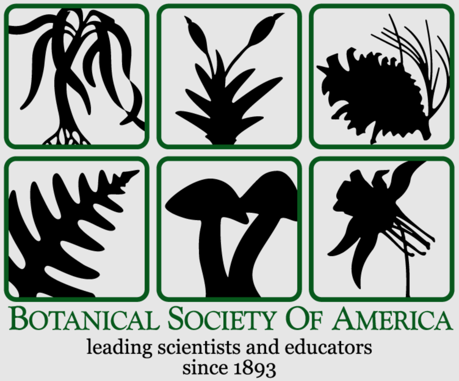 Botanical Society of America