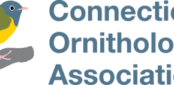 Connecticut Ornithological Association
