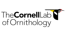 Cornell Lab of Ornithology