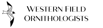 Denver Field Ornithologists