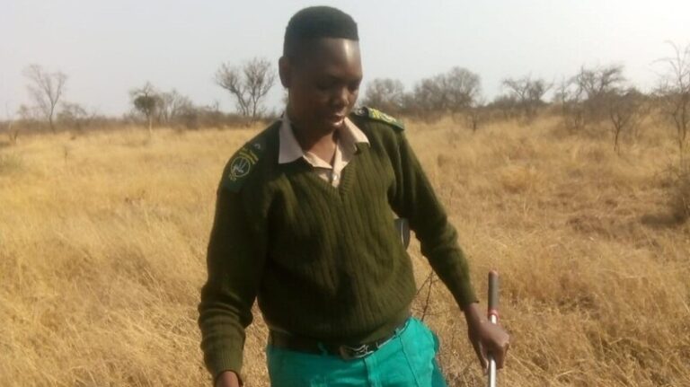 A man in a green uniform stands in a dry grassland holding a long-handled tool, with golden vegetation in the background.