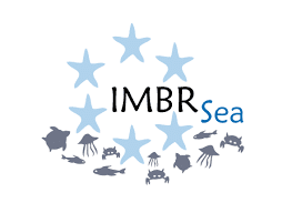 IMBR sea