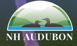 NH Audubon