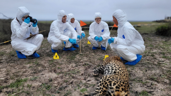 2-Week International Course: Wildlife Forensics, Crime Scene Management ...