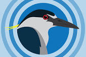 The Waterbird Society