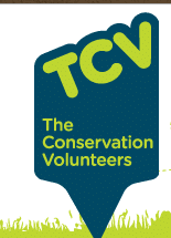 TCV