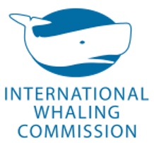 International Whaling Commission