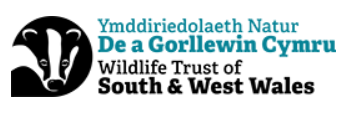 The Wildlife Trust of South and West Wales