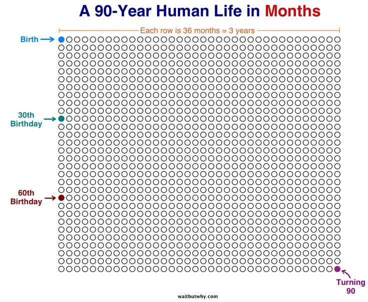 A visual chart of 90 years represented in months as circles, illustrating the limited time we have. Image by Tim Urban, Wait But Why.