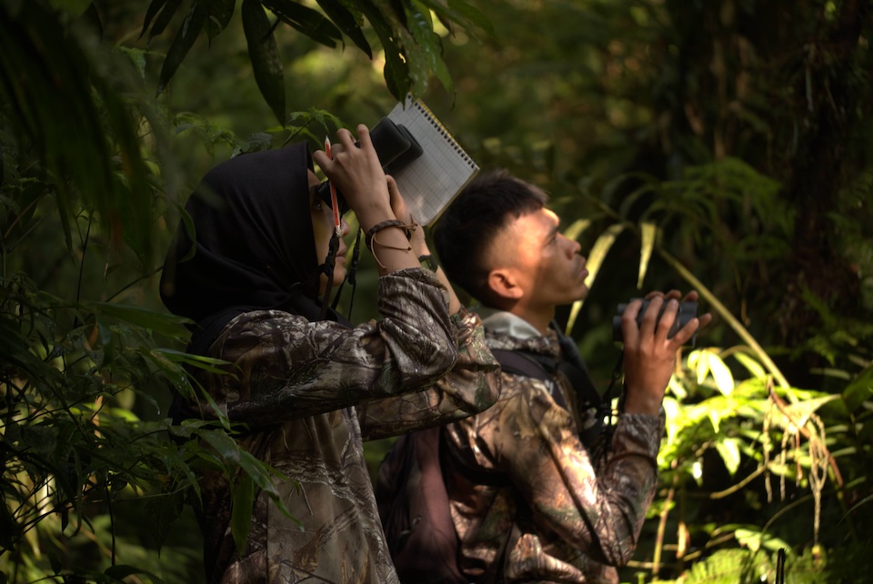 Two people in the forest, both staring upwards, with one looking through binoculars and holding a notepad.