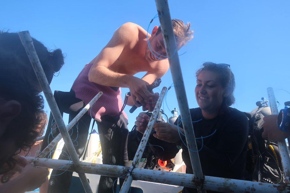 A group of people in swimwear and scuba gear work together assembling or repairing a metal structure outdoors under a clear blue sky.