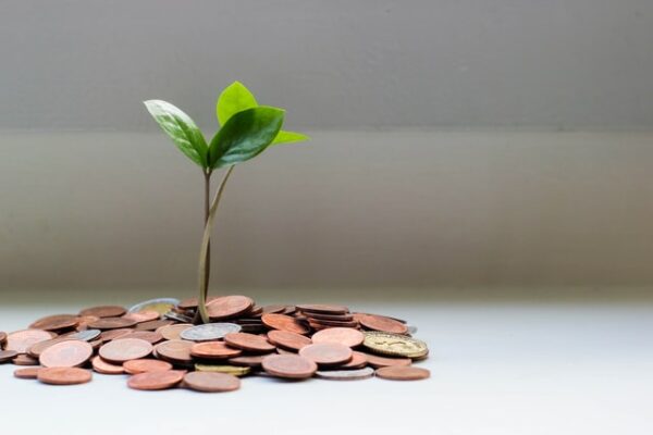 Fundraising for Conservation Projects