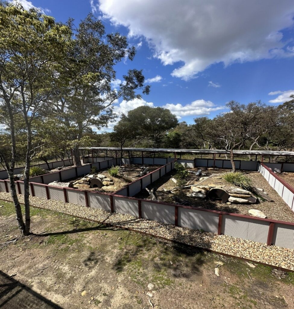 Wombat Rehabilitation Facility at the Hills Wildlife Sanctuary. Photo by Ben Dessen.