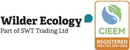 Wilder Ecology