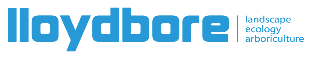Lloydbore Ltd