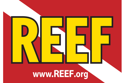 Reef Environmental Education Foundation (REEF)