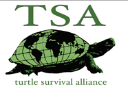 Turtle Survival Alliance