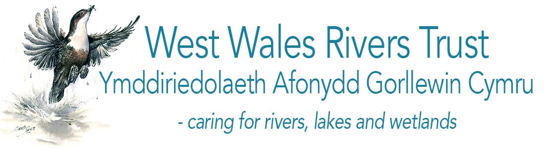 West Wales Rivers Trust